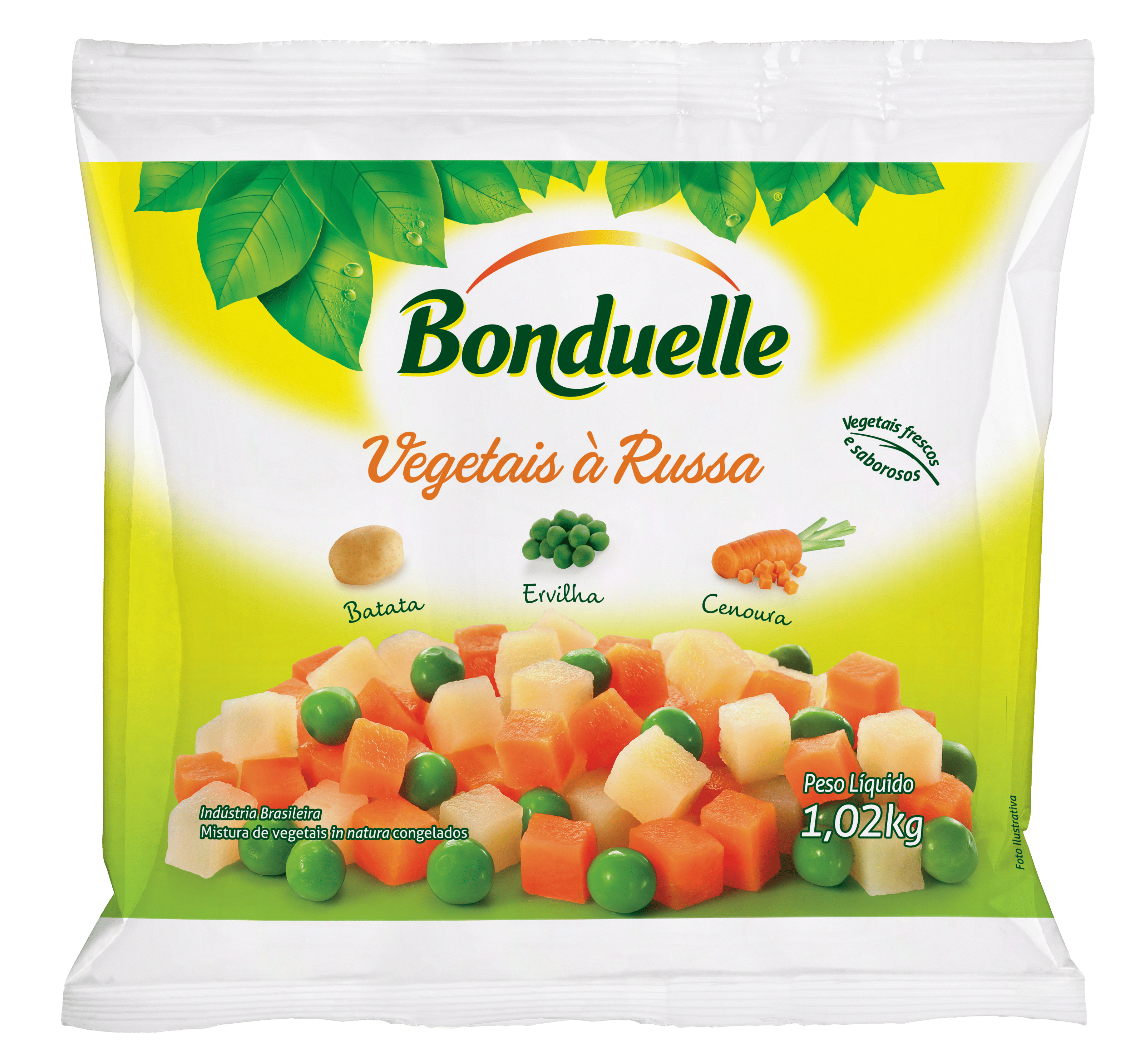 VEGETAIS RUSSA BND 12X1,02 KG