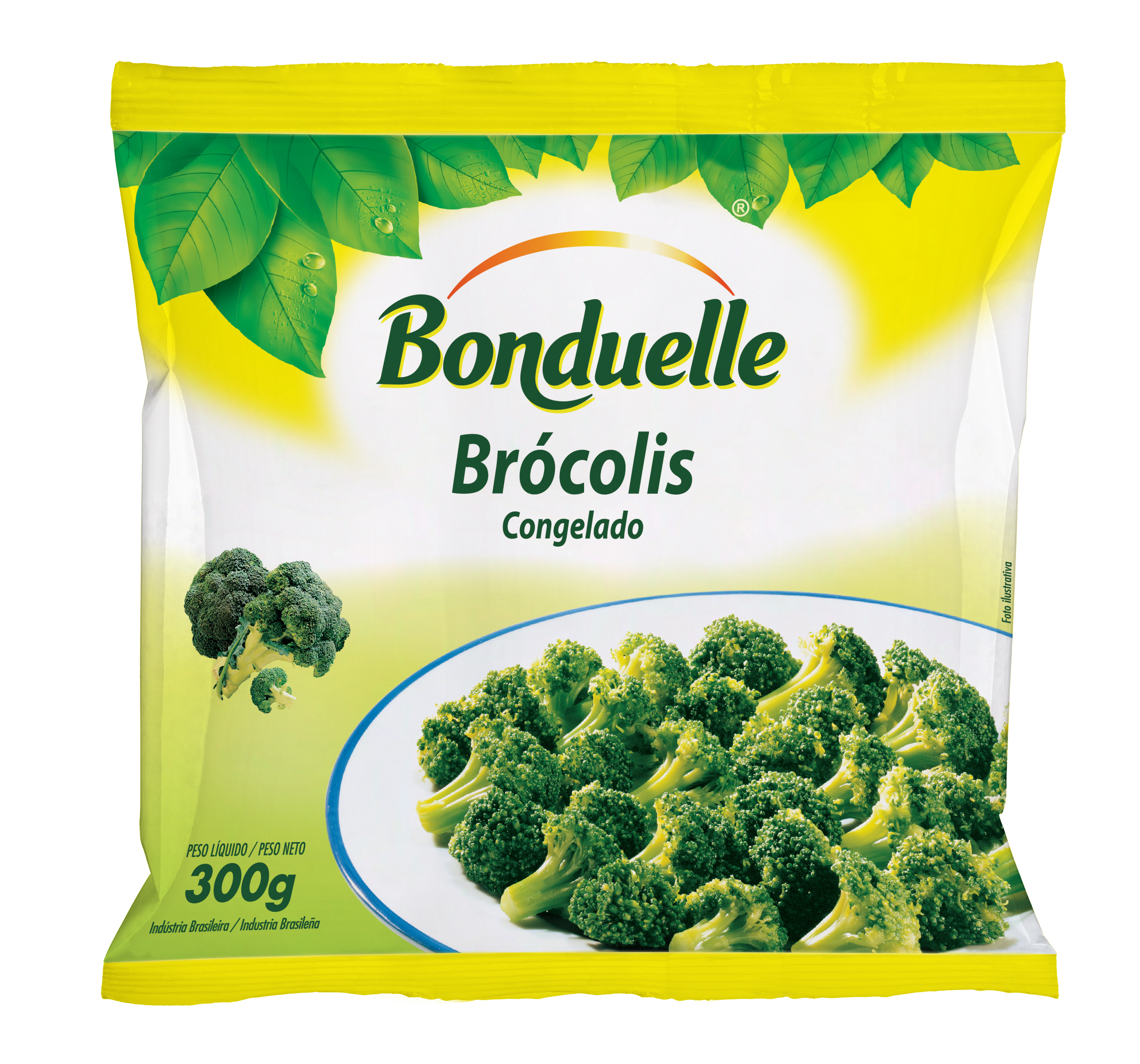 BROCOLIS BND 30X0,3KG
